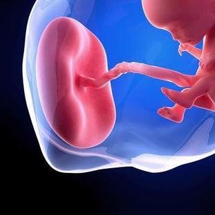 阻断遗传疾病做三代试管婴儿要考虑哪些问题？