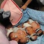 成都试管婴儿医院哪家强？详细选择建议及收费标准详细解析