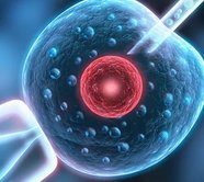 河南生殖医院试管生产费纳入医保，快来看看你能报销多少