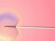 泰国第三代试管优势，全步骤详细介绍