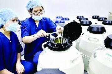 做试管卵泡发育不良怎么办 如何预防空卵泡的出现