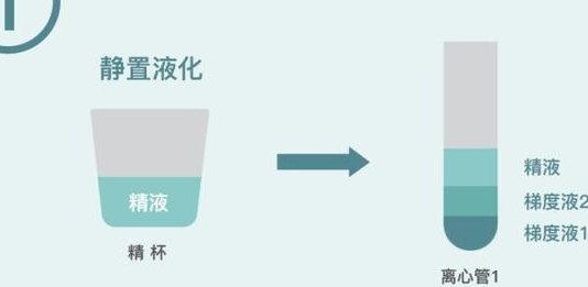 子宫纵隔生育困难可以在绵竹市做三代试管吗？子宫有问题做试管的成功率高吗？