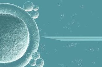 移植两个流产一个原因剖析，这些因素其实都有可能